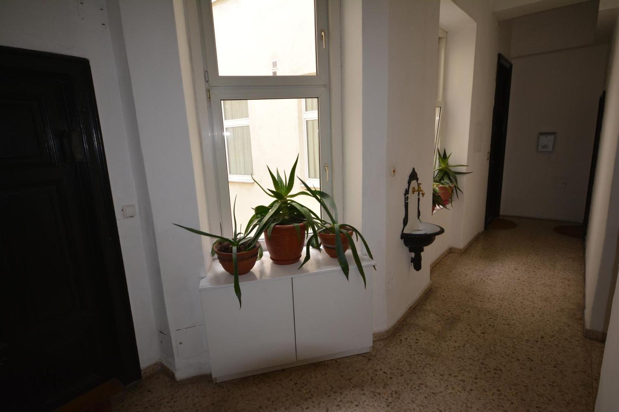 Vienna Holiday Apartments المظهر الخارجي الصورة